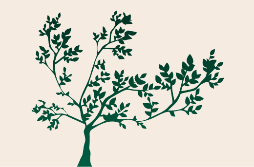 Sem pressa  e sem pausa.